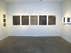 Installation view of Great Walls              © DM Witman