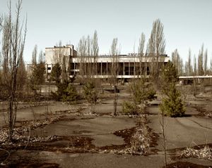 2. Pripyat. The forest grounds.
