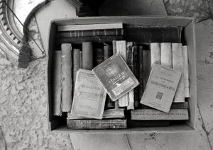 "Books are respected by using them, not by leaving them alone" (Umberto Eco)