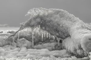 Ice Sea Horse