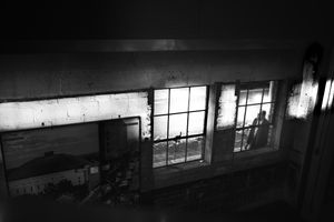 Following light in dark