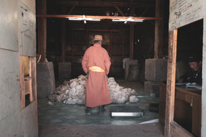 Mongolian cashmere
