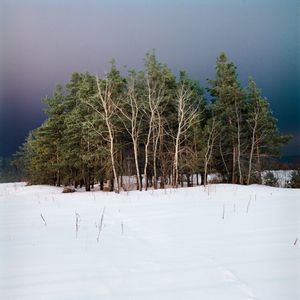 Work from series "Not Even Something"