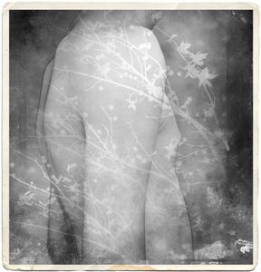 © Brett Canet-Gibson