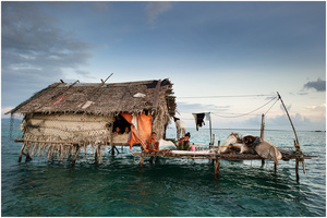Stateless Families 04