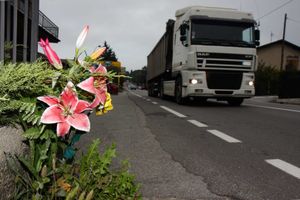 Fiori recisi