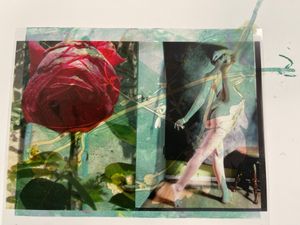 Giverny Rose with Nude
