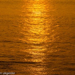 Golden North Sea