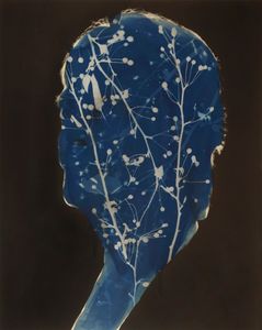 Janet with Aronia (Chokeberries) impression, 2011, from the series Natural History. Unique cyanotype on archival pigment print, 16” x 20”