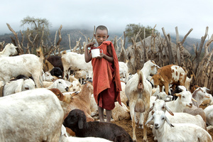 Goat Boy
