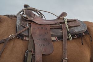 saddle work