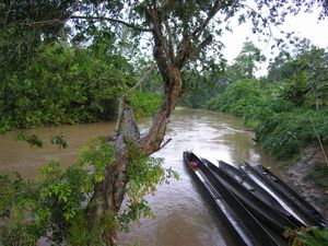 "Tanguntsa"