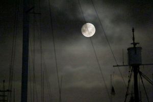 Harbor Moon
