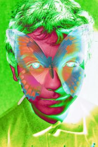 Butterfly L