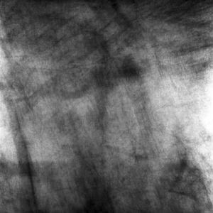 untitled 9