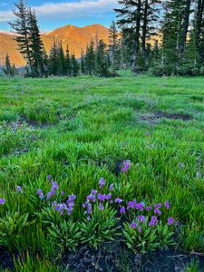 Shooting Star and Alpenglow on  Dick's Peak