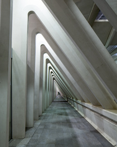 Liege Guillemins