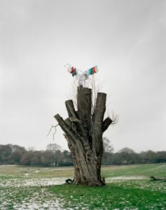 clothes horse #1