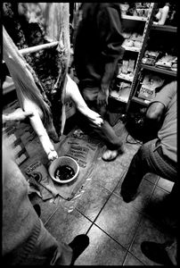 © Oliver Weber - Matanza