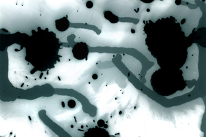 08