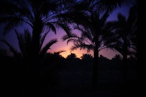 Light in the middle of darkness