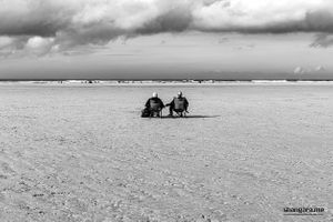Cornwall | 14