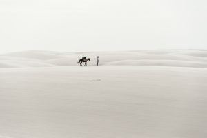 Living in desert