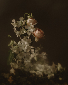 Roses in embrace