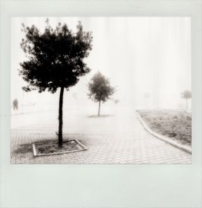 Transversal Memory #6