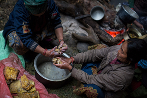 SWEET GOLD - The honey hunters of Nepal
