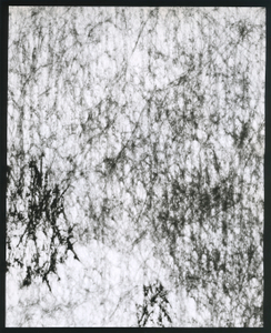 Fleece VIII