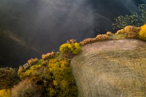 Lakeshore Operations | Fall Series #04