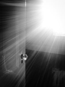 AM Light