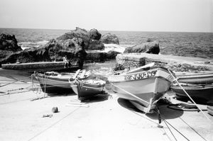 Harbour 1