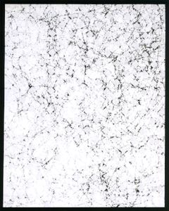 Vlies VI - from the series "IT'S POSITIVE TO BE NEGATIVE"