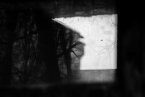 Fade Out