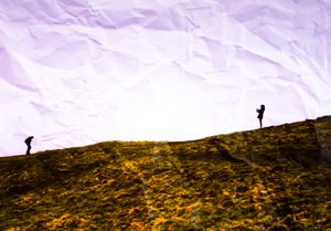 Honest Landscape