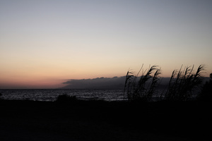second morning #04