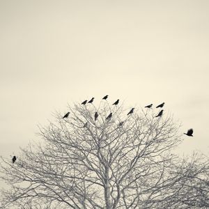 Slip Away