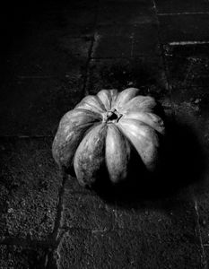 Pumpkin