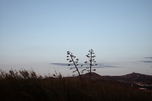 third morning #10
