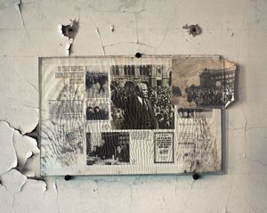 6. Pripyat. The forest grounds.