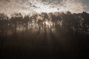 the light