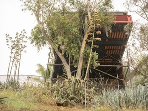 Stilt house