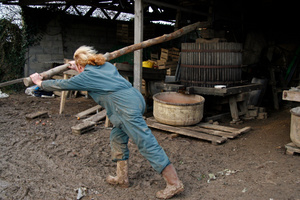 Applying extra pressure to what is left of the crushed apples