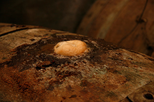 Impurities escape from an open hole in a barrel as apple juice slowly turns into cider