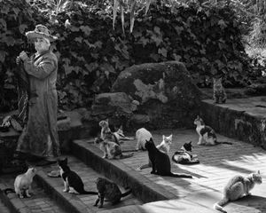 Cat Lady, Chella