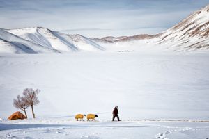 The Man and the Sheep.