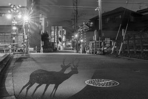Wait at the Railroad Crossing