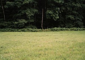 Meadow #5, inkjet print, 60"x75"